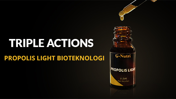 Bagaimana Propolis Light Bioteknologi Membersihkan Plak dalam Pembuluh Darah